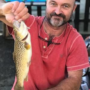 Meet your Posher, Curtis